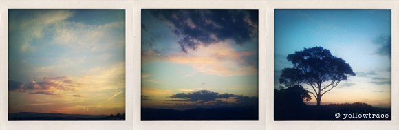 sojourn_yellowtrace_iPhone11