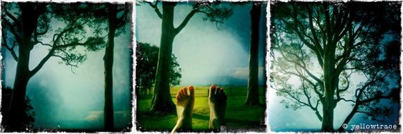 sojourn_yellowtrace_iPhone12