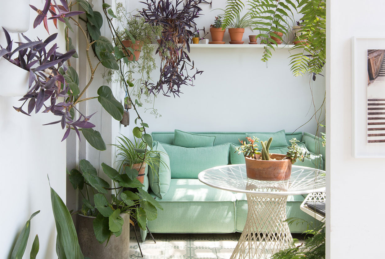 Greenterior plant loving creatives and their homes yellowtrace.jpg