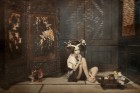 Hanjo by Yoram Roth | Yellowtrace.