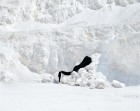Bence Bakonyi, DIGNITY Series | Yellowtrace.