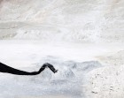 Bence Bakonyi, DIGNITY Series | Yellowtrace.