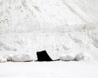 Bence Bakonyi, DIGNITY Series | Yellowtrace.