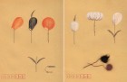 Mitate Sketches by Studio Wieki Somers | Yellowtrace.