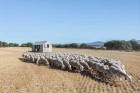 Portable Home APH80 by ABATON | Yellowtrace.