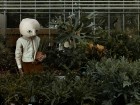 Garden Centre, The Second Self Laboratory Jan Pieter Kaptein | Yellowtrace