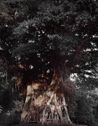 Many Vanuatu, Vanuatu. Photo by Jimmy Nelson | Yellowtrace