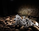 Sparkling Crystal Sculptures by Nicola Bolla | Yellowtrace.