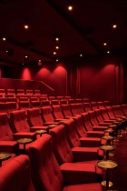Olympic Studios Cinema by Simone McEwan & Photographer Paul Raeside | Yellowtrace