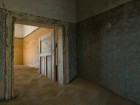 Sign of Life by Christopher Rimmer | Yellowtrace