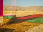 Autumn de Wilde Coloured Boxes for Cadillac | Yellowtrace