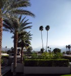 Palm Springs Modernism Week 2014 | Yellowtrace