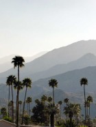 Palm Springs Modernism Week 2014 | Yellowtrace