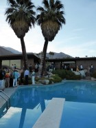 Palm Springs Modernism Week 2014 | Yellowtrace