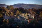 Hotel Hotel, Canberra | Yellowtrace