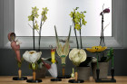 Maurizio Pecoraro's Elegant Home in Milan |Yellowtrace