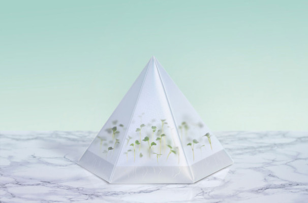 Microgarden Growing Kit by Tomorrow Machine | Yellowtrace.