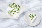Microgarden Indoor Growing Kit by Tomorrow Machine & INFARM | Yellowtrace