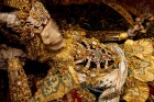 Heavenly Bodies: Spectacular Catacombs Saints Photographed by Paul Koudounaris | Yellowtrace