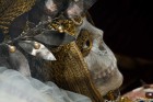 Heavenly Bodies: Spectacular Catacombs Saints Photographed by Paul Koudounaris | Yellowtrace