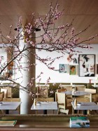 Bills Restaurant at Bondi Beach by Meacham Nockles McQualter | Yellowtrace