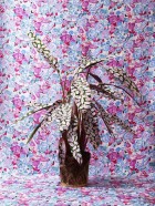 Still Life Photography by Victoria Ling | Yellowtrace