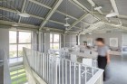 House C & House D by Studio AUTORI | Yellowtrace
