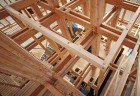 Nest We Grow by College of Environmental Design UC Berkeley + Kengo Kuma & Associates | Yellowtrace