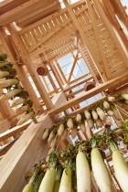 Nest We Grow by College of Environmental Design UC Berkeley + Kengo Kuma & Associates | Yellowtrace