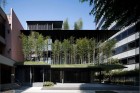Ekouin Nenbutsudo: Tokyo Temple Veiled in Trees by Yutaka Kawahara | Yellowtrace
