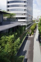 Ekouin Nenbutsudo: Tokyo Temple Veiled in Trees by Yutaka Kawahara | Yellowtrace