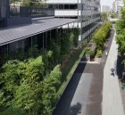 Ekouin Nenbutsudo: Tokyo Temple Veiled in Trees by Yutaka Kawahara | Yellowtrace