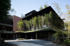 Ekouin Nenbutsudo: Tokyo Temple Veiled in Trees by Yutaka Kawahara | Yellowtrace