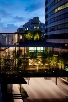 Ekouin Nenbutsudo: Tokyo Temple Veiled in Trees by Yutaka Kawahara | Yellowtrace