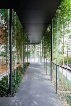 Ekouin Nenbutsudo: Tokyo Temple Veiled in Trees by Yutaka Kawahara | Yellowtrace