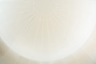 Ode to Osaka Installation by Manthey Kula | Yellowtrace