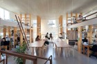 Pillar Grove Architects' Office by Mamiya Shinichi Design Studio | Yellowtrace