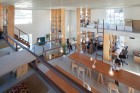 Pillar Grove Architects' Office by Mamiya Shinichi Design Studio | Yellowtrace