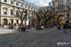 Ai WeiWei Exhibition at Royal Academy of Arts London, Photo © Nick Hughes | Yellowtrace