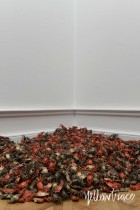 Ai WeiWei Exhibition at Royal Academy of Arts London, Photo © Nick Hughes | Yellowtrace