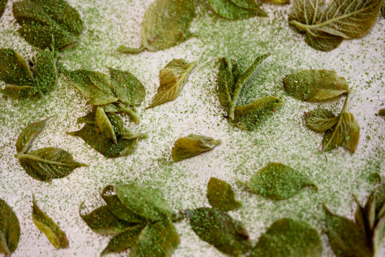 Experimental Gastronomy Events by Steinbeisser | Yellowtrace