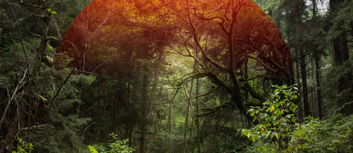 Mark Dorf's Surreal Mix of Photography & Digital Media