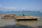 Archipelago Cinema in Thailand by Buro Ole Scheeren | Yellowtrace