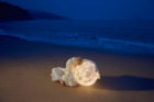 Found My Moon: Extraordinary Campaign Images for Acorn Studio's LUNA Lamp | Yellowtrace