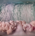 Kim Keever's Mesmerising Art Made by Squeezing Paint into Water | Yellowtrace