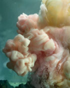 Kim Keever's Mesmerising Art Made by Squeezing Paint into Water | Yellowtrace
