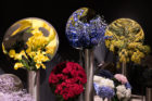 Flower Shop Project in Shanghai by Alberto Caiola | Yellowtrace