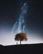 Surreal Digital Art by Justin Peters | Yellowtrace