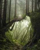 Surreal Digital Art by Justin Peters | Yellowtrace