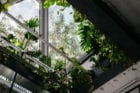 RYU Japanese Restaurant by Ménard Dworkind in Westmount, Canada | Yellowtrace
